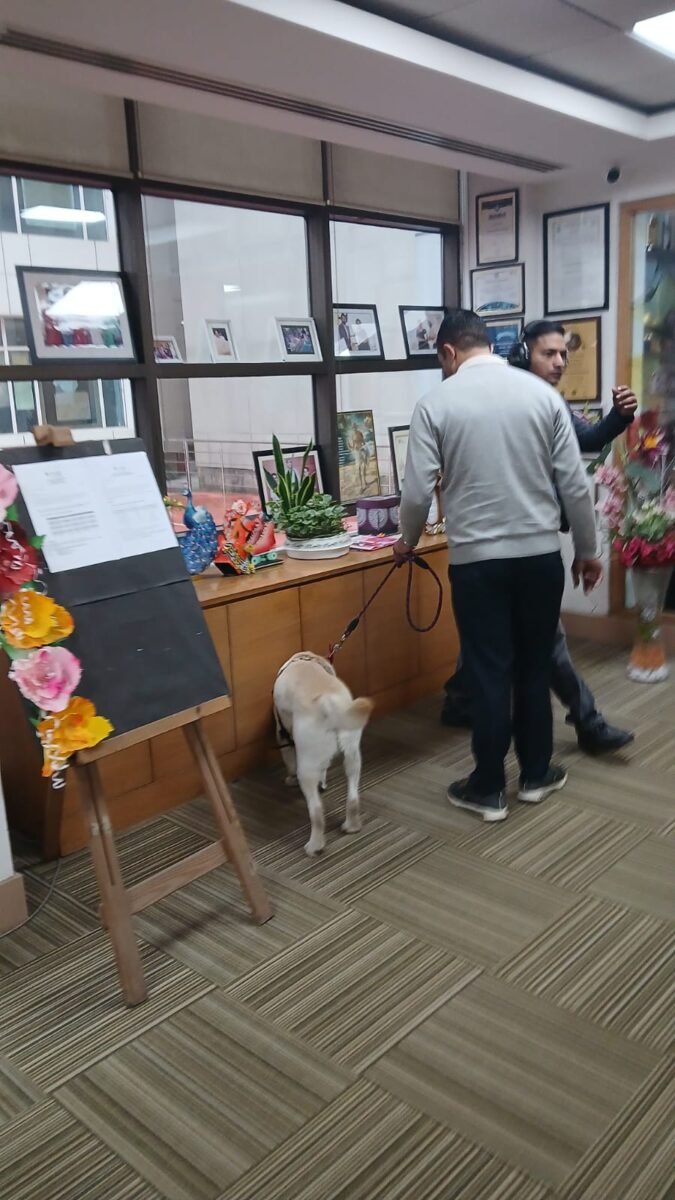 Gurugram School Threats Update