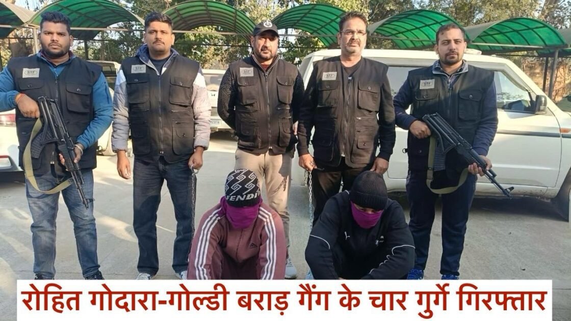 Haryana Stf Arrested Four Criminal