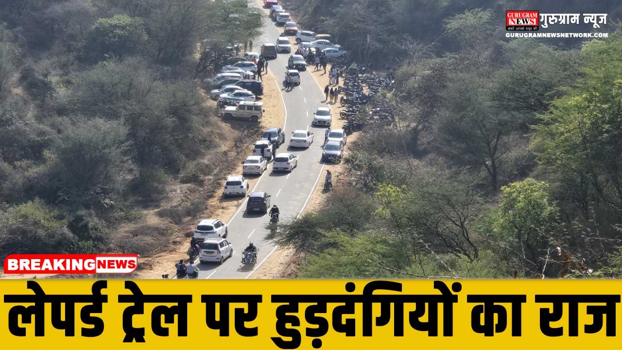 Leopard Trail In Gurugram