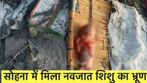 Sohna Crime News : कूड़े के ढेर में मिला मासूम का शव, आंगनवाड़ी और आशा वर्कर्स से मांगी रिपोर्ट