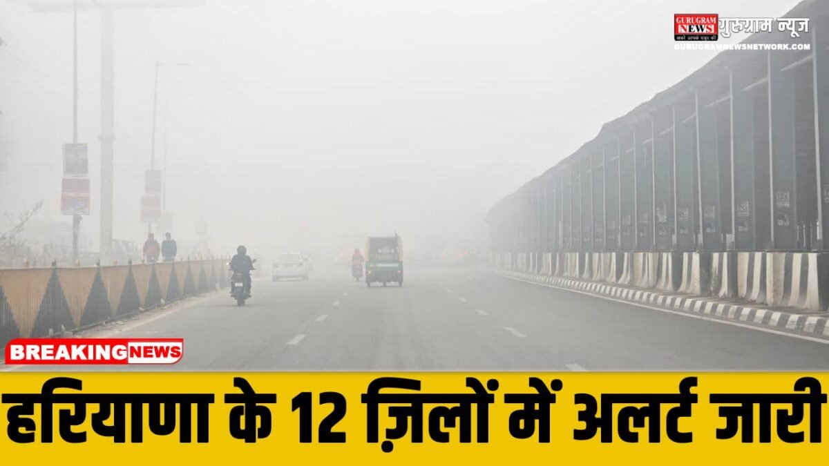 Weather Alert In haryana