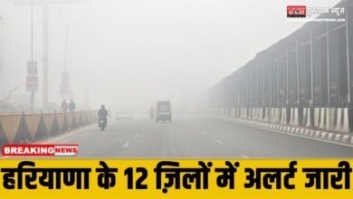 Weather Alert In haryana