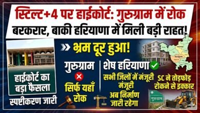 Stilt+4 Floors In Haryana