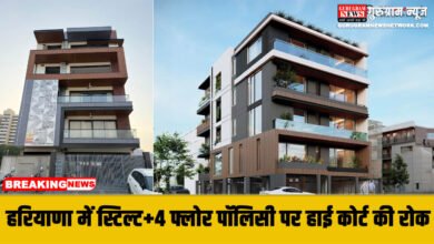 Stilt+4 Policy (S-4)