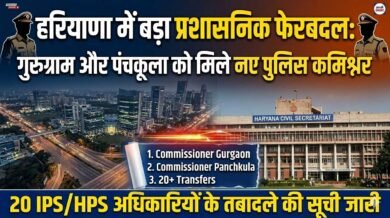 IPS Transfer