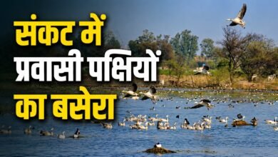 Sunltanpur National park