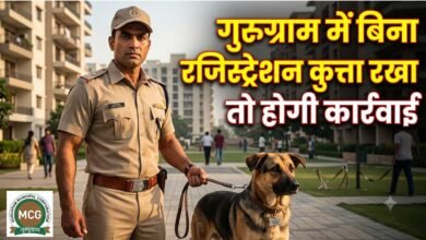 Dog Registration
