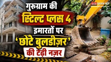 DLF Bulldozer
