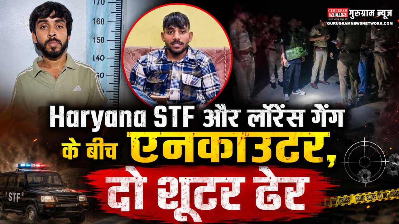 Haryana STF
