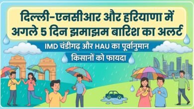 Rain Alert