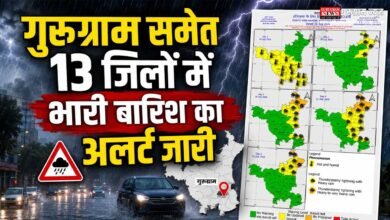 Rain Alert