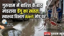 Alert