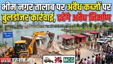 Bulldozer Action