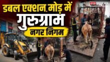 Gurugram Nagar Nigam