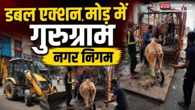 Gurugram Nagar Nigam