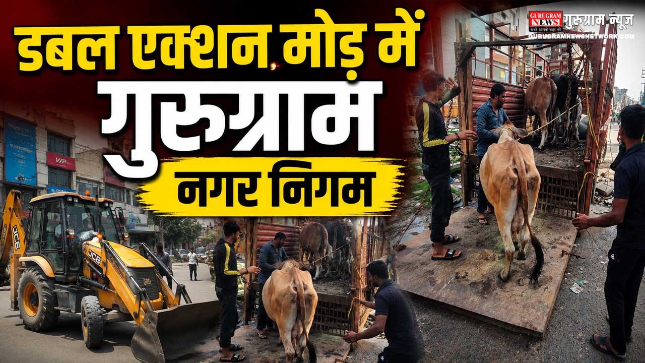 Gurugram Nagar Nigam