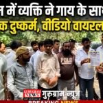 Bestiality With Cow : गुरुग्राम में व्यक्ति ने गाय के साथ किया अप्राकृतिक दुष्कर्म , वीडियो वायरल, FIR दर्ज