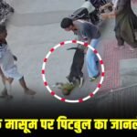 Pitbull Attacks: 6 महीने के मासूम पर पिटबुल का जानलेवा हमला, हालत गंभीर; पूरी वारदात CCTV में कैद